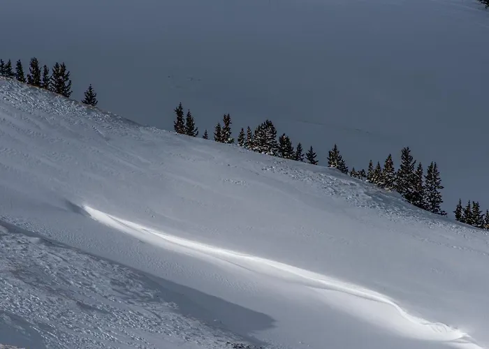 Copper Springs 426